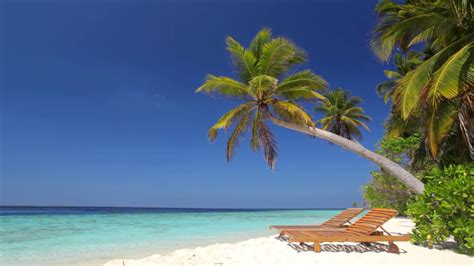 ☀ Beach Ambience on Tropical Paradise Island (Maldives) ☀ Calm Ocean Sounds for Relaxing ...