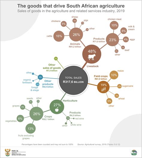 These goods drive South African agriculture | Statistics South Africa