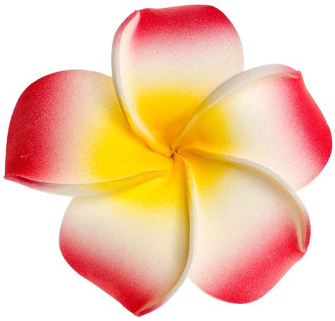 Plumeria Flower Clipart - ClipArt Best