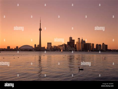 Canada, Toronto skyline at sunset Stock Photo - Alamy