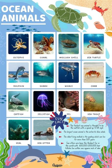 Water Animals Chart