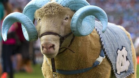 History of UNC’s mascot Rameses - Tar Heel Blog