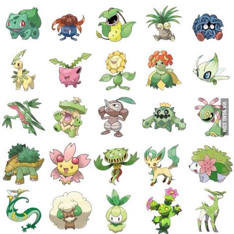 All Leaf Type Pokemon