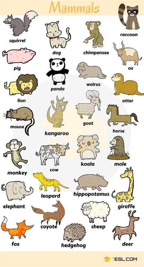 Animal Names | Types of Animals | List of Animals | Animal Pictures • 7ESL