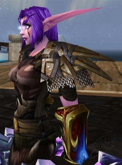 Tundra Tracker's Shoulderguards - Item - WotLK Classic