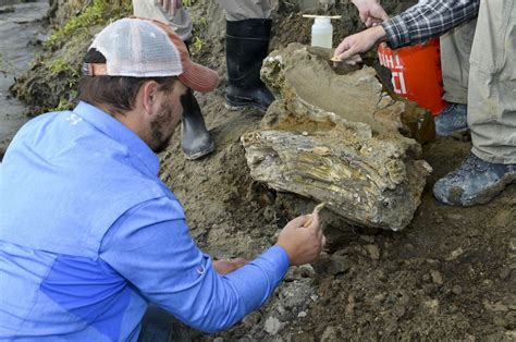 Photos: Ice age mammoth unearthed in Idaho | Live Science