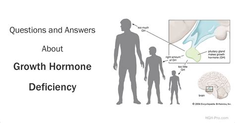 Growth Hormone Deficiency in Children and Adults