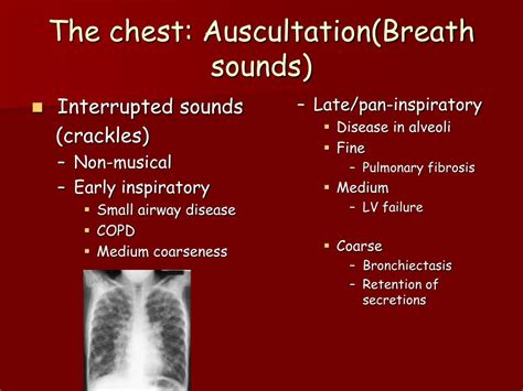 Pneumonia lung sounds - issefood