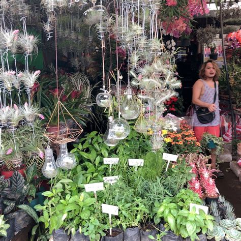 Farmers Market Flowers Cubao - Farmers Market Socorro 43 Tips From 3631 Visitors / And the lower ...