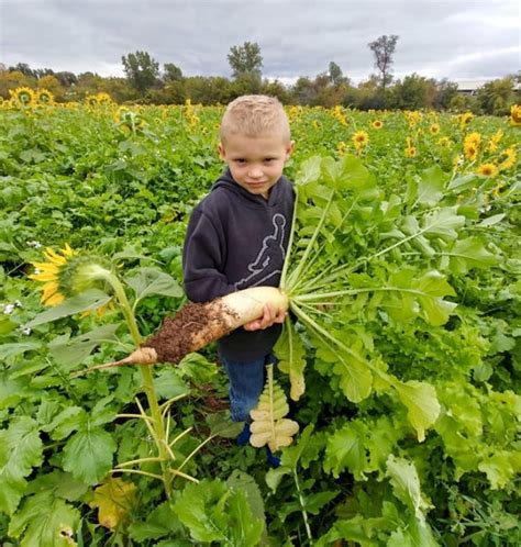 No-Till, Cover Crops Pay Dividends on Dairy Farm