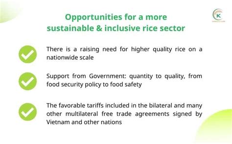 Rice Production In Vietnam Has Continuously Increased Over Years | K ...