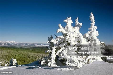 89 Gallatin National Forest Stock Photos, High-Res Pictures, and Images - Getty Images