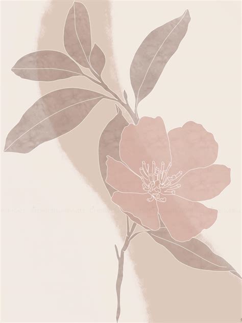 Minimalist Aesthetic Flower Wallpaper Pink - pic-flamingo