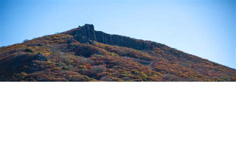 Autumn scenery of Gwangju, South Korea - People's Daily Online