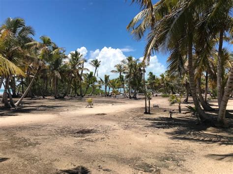 Return to Blackadore Caye, Belize...Yes...Leo's Island | San Pedro Scoop