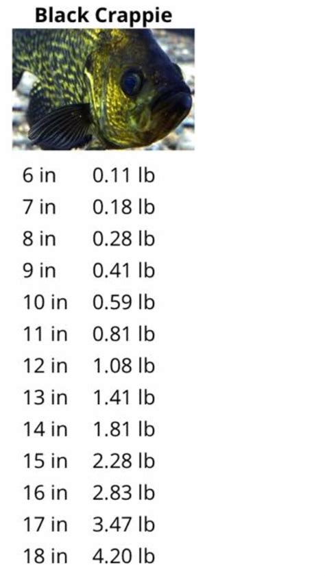 Length to Weight Averages