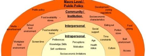 Intro to Social Work: Understanding Macro, Mezzo, and Micro Levels of ...