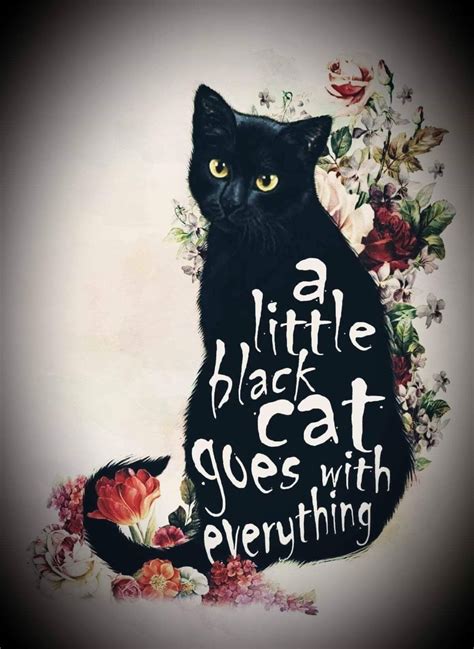 Pin by Lisa Jordan on tattoo ideas | Black cat quotes, Black cat ...