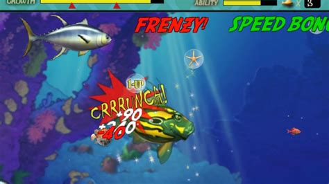 Feeding Frenzy 1 Free Download Full Version For Pc