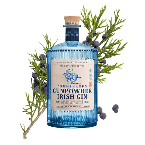 15 Best Gin Brands 2019 - What Gin Bottles to Buy Right Now