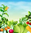 Different kind of fresh vegetables Royalty Free Vector Image