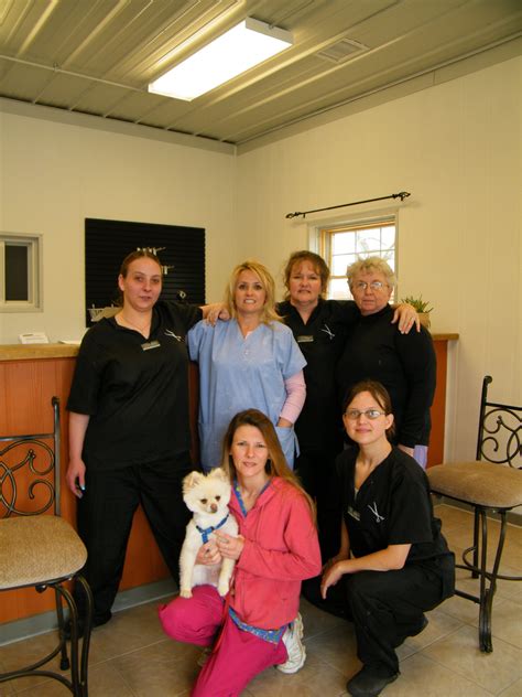 Dog Grooming School Consulting - Kathy Sanders, Master Groomer