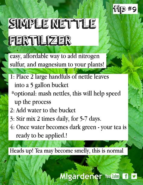 Nettle Fertilizer for Healthy Plant Growth