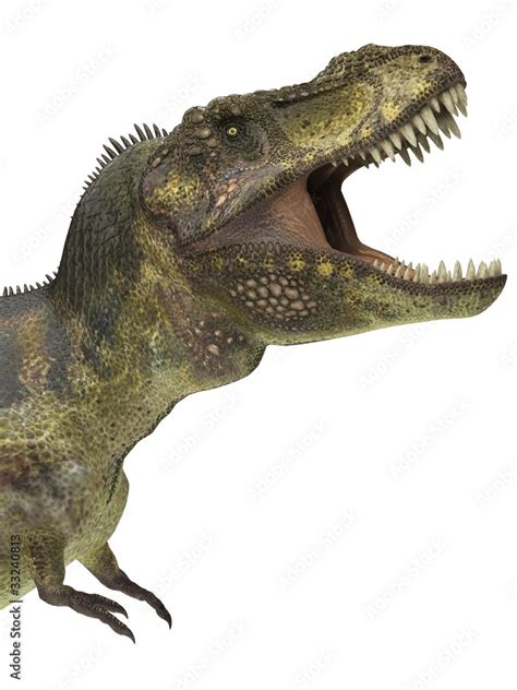 tyrannosaurus rex t-rex side view Stock Illustration | Adobe Stock