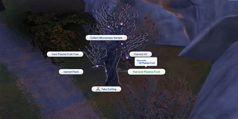 Where To Find Plasma Fruit In The Sims 4