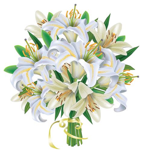 White Lily Flower Png Clipart Best Web Clipart | Images and Photos finder