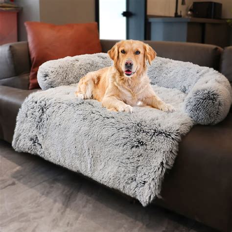 Best Couch Material For Dogs: Top Options For Pet Owners | Alpha Paw