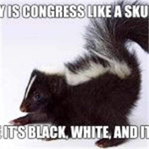 Skunk Memes