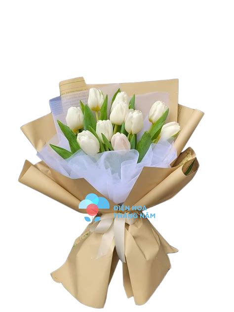 Bó Hoa Tulip Trắng - BH71 - Điện Hoa Tháng Năm