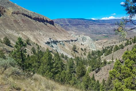 Wild country: Coffee, cults, and prehistoric creatures have all left ...