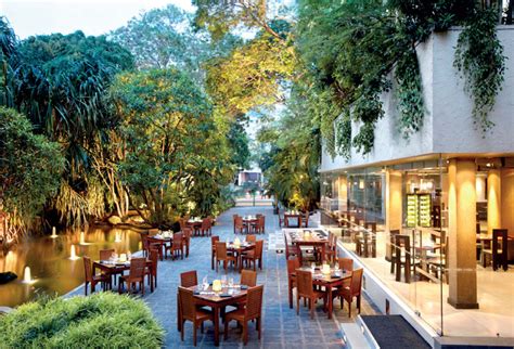 Cinnamon Grand Colombo’s ‘Lagoon’ restaurant featured in ‘World’s 50 Best Restaurants’ | Daily FT