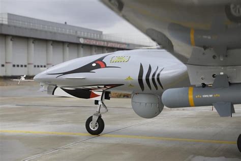 Poland buys Bayraktar TB2 armed drones from Turkey