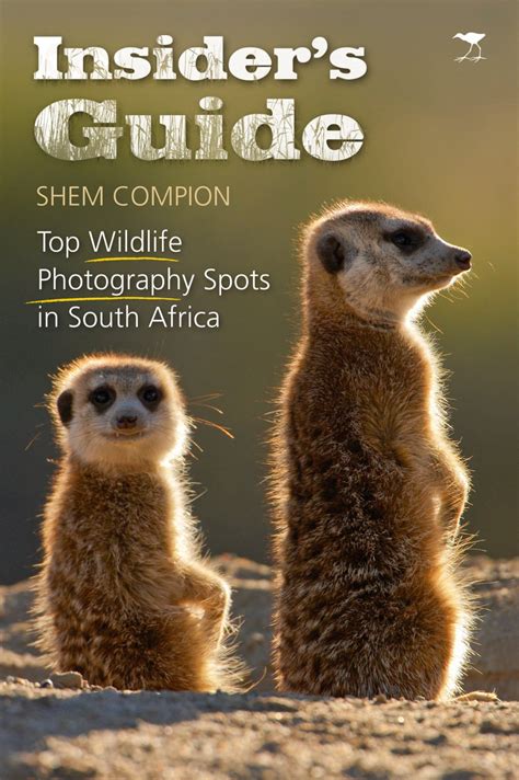 Insider's Guide: Top wildlife photography spots in South Africa - Jacana