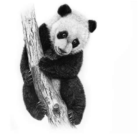 monica lee art Penguin Drawing, Panda Drawing, 3d Art Drawing, Elephant Drawing, Realistic ...