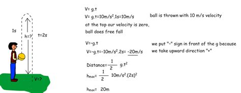 Physics Free Fall Examples