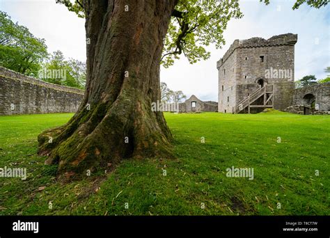 Loch Leven Castle in Scotland, UK Stock Photo - Alamy