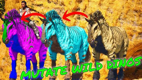 How To MUTATE BOOST Wild Dinos in Ark Survival Ascended! ASA MUTATION/BREEDING GUIDE - YouTube