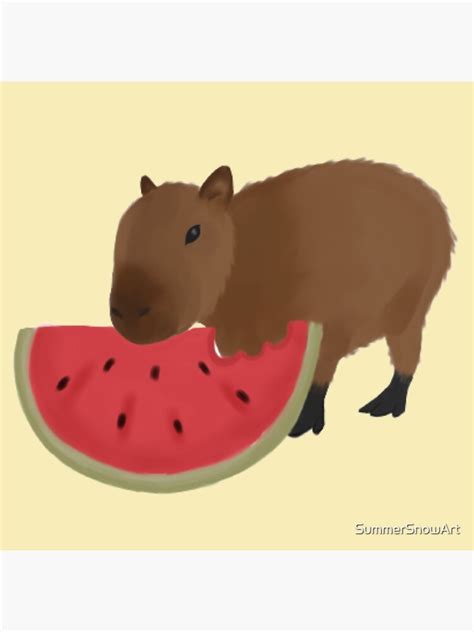 "Capybara eating watermelon" Poster for Sale by SummerSnowArt | Redbubble