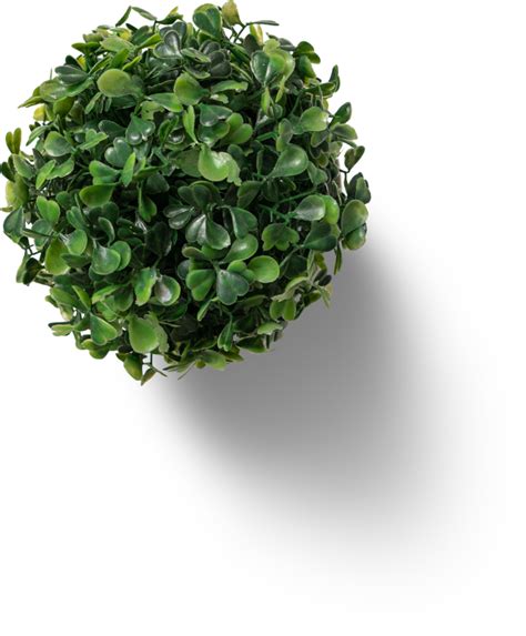 Succulent plant, plastic plant, pot planet, grass plant 24392547 PNG