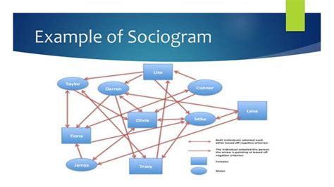 Sociograms | PPT