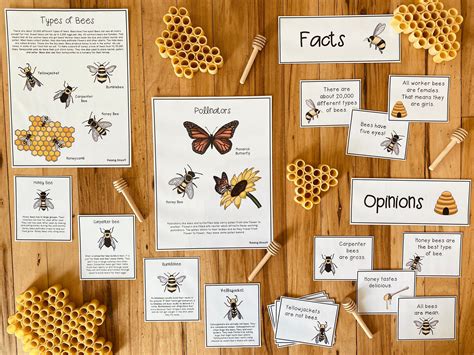 Bee Unit: Science Pack - Etsy