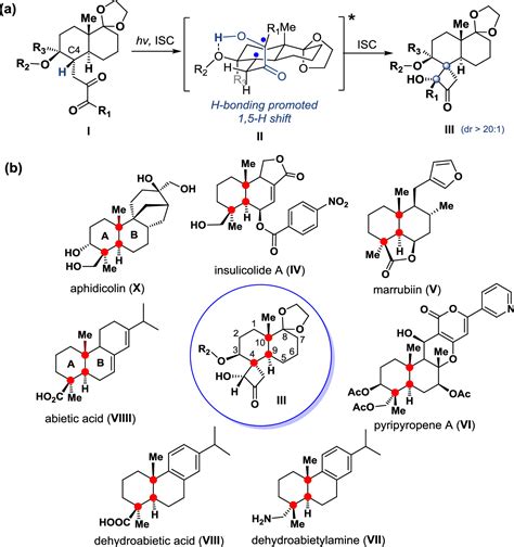 Stereoselective Synthesis of trans-Decalin-Based Spirocarbocycles via ...