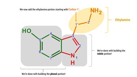 Serotonin – Duluth Labs