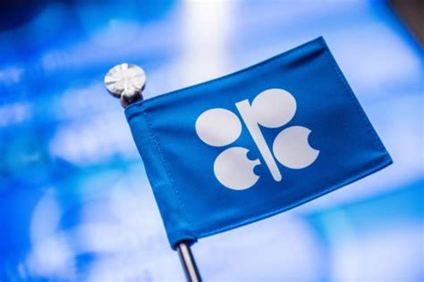 OPEC+ adjusts output targets for 2024