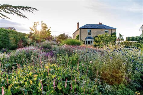 How to create a flower-filled hillside garden - Gardens Illustrated