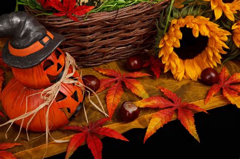 Halloween Autumn Theme Free Stock Photo - Public Domain Pictures